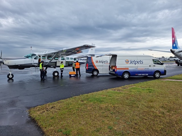 Flights Services - Pet transport